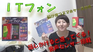 【赤ちゃん向けおもちゃ】【知育】いたずら１歳とおしゃべり２歳の好奇心に応えるiTフォン～脳が育つスマホケース付き～