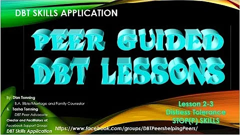 DBT Skills Application 2-3 STOP