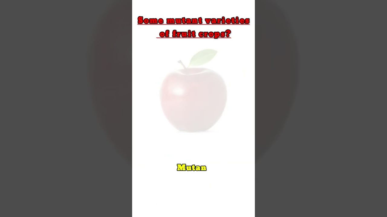 mutant varieties of fruits!!