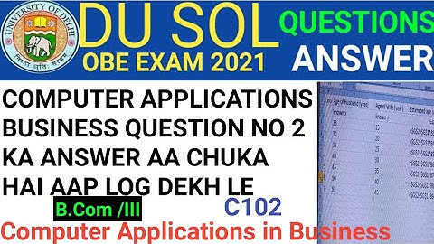 Computer Applications in Business Question no 2 ka ANSWER | Du sol answer | Computer | C102 ans