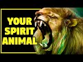 WHAT’S YOUR SPIRIT ANIMAL? Personality Test Quiz | Mister Test