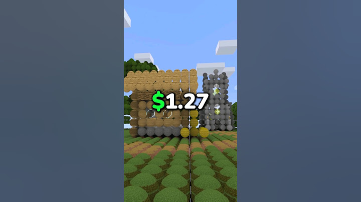 Ono kad kupiš Minecraft za $1.27...