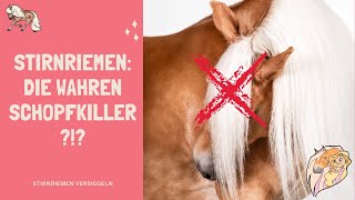 Stirnriemen = Schopfkiller?😱 Stirnriemen Versiegeln Anja Fee