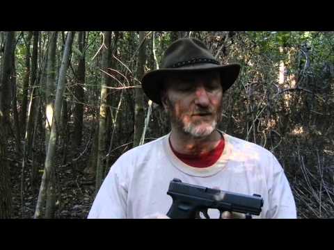 Glock 31 For Woods Protection?