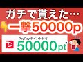 この動画は見ないと後悔します…コレでPayPay5万p貰えた‼︎