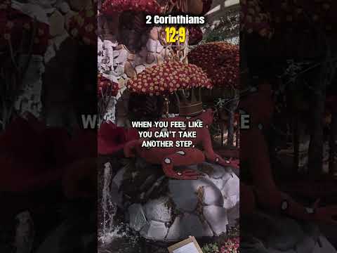 نعمتي تكفيكم ي رجى الإعجاب والاشتراك للحصول على محتوى ثري وملهم  6219