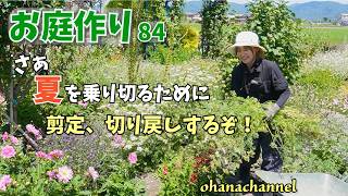 【庭作り 84】夏を乗り切るために、剪定、切り戻しするぞ！オオデマリ、ビバーナム、梅花ウツギなど樹木の剪定、バラ、バーベナ、増えすぎた1年草の抜き取りなど