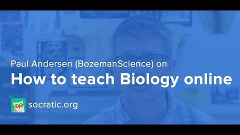 Paul Andersen Interview with Socratic.org