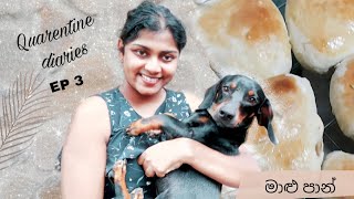 Online medical school and baking during quarentine | Maalu  paan ( Sri Lankan fish buns) | VLOG