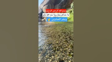 #القرآن_الكريم #راحة_نفسية #ارح_قلبك #صلوا_على_النبي #ﷺ #تدبر_القرآن #ترند #لااله_الاالله #تلاوة