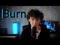 Burn  hamilton cover