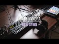 Miles kvndra  new dawn  ableton digitone digitakt microcosm and mother32 jam