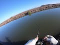 Gigantes Róbalos y Pargos En Esteros de Sinaloa Mexico 🐟🎣👍🏻🙏🏻