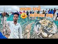 ଅରନ୍ଧା ପାଇଁ ଆସିଗଲା ମାଛ ॥Fishplat99 ॥New Video ॥