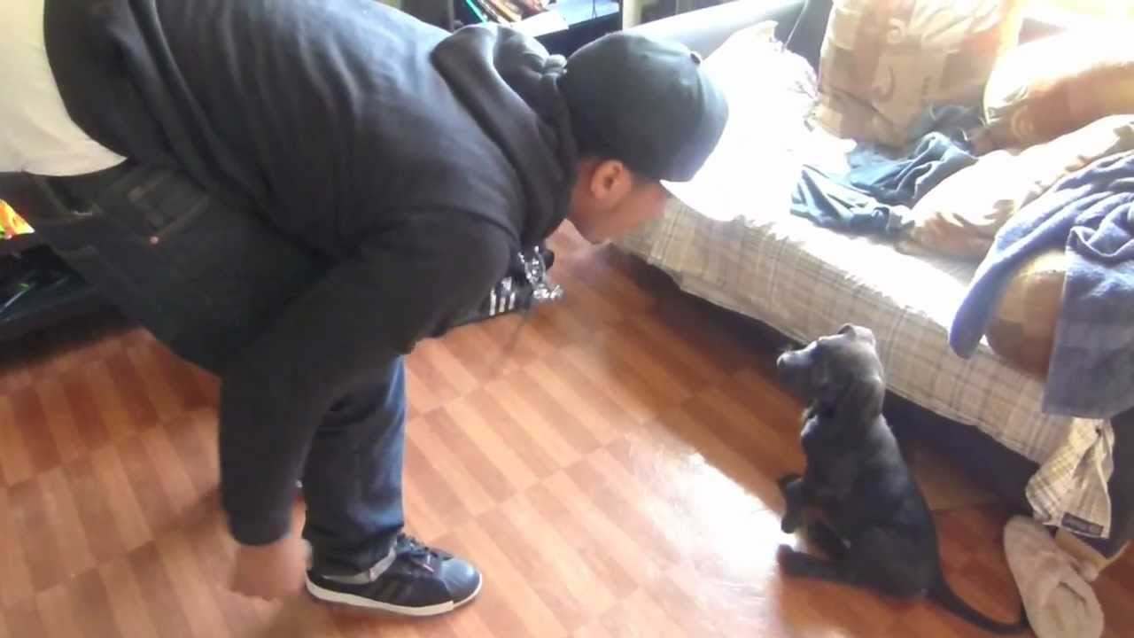 We Lyve TV: Welcome to the Come Up: New Member!! Ep.4