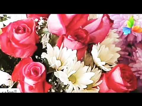 سورة التوبة الشيخ صلاح بو خاطر