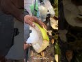 Green coconut cutting skill shorts streetfood asmr coconut experiment explore