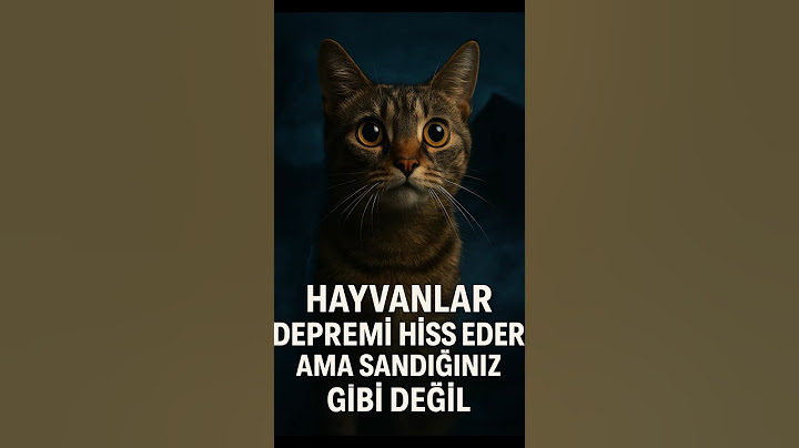 Hayvanlar Depremi Hisseder: Ama Sandığınız Gibi Değil #shorts  #deprem  #bilim
