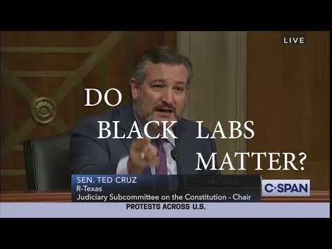 Sen. Ted Cruz: Do black labs matter?