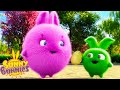 SUNNY BUNNIES - Magic Coin | Season 1 | Cartoons for Children