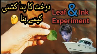 Mind Blowing Leaf + Ink Experiment || درخت کا پتا کشتی کیسے بنا ?  ||