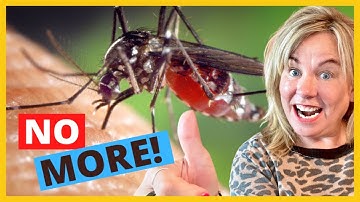 4 (DEET-FREE) WAYS TO STOP MOSQUITO MISERY FOR CAMPERS! (Prevent Bites &  Stop Itching) ✅