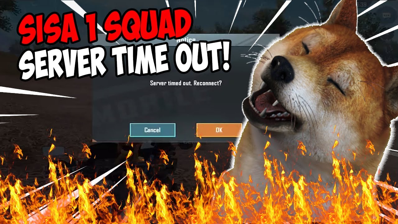 11+ Elgato Adalah Pictures