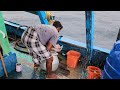 கடலில் கனமழையில் மீன் பிடித்து மதிய உணவு சாப்பிட்டோம்|Day-02|Deep Sea Fishing|Season02|Episode07