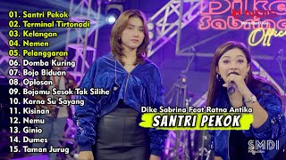 Dike Sabrina Ft Ratna Antika - SANTRI PEKOK, TERMINAL TIRTONADI | Full Album Lagu Jawa Terbaru 2024