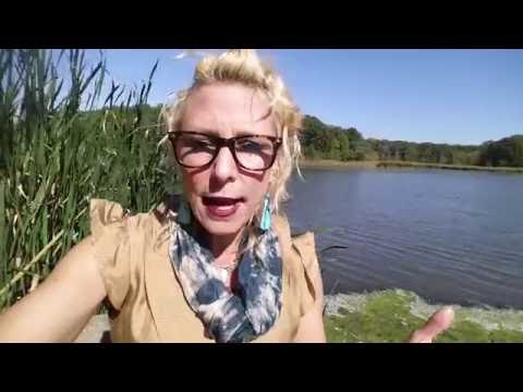 divorcing-a-narcissist/psychopath-successfully--a-few-tips