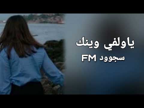 ياولفي وينك تعديل مميز 2022 بدون حقوق