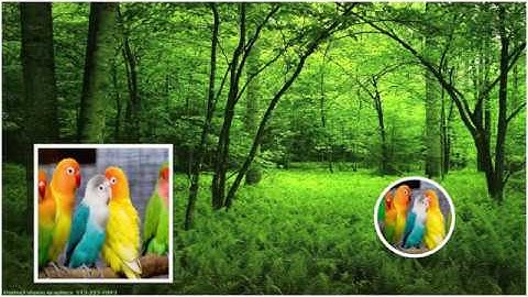 เทคนิค PowerPoint ทำภาพกระพริบและภาพเลื่อนเปลี่ยนไปมา