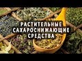 Растительные сахароснижающие средства