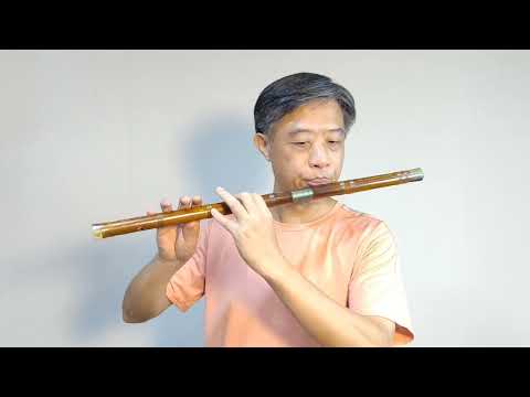 【阿蘭娜】 - D調曲笛 （老歌系列-056）#下架民進黨