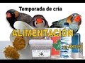 TEMPORADA DE CRÍA  - ALIMENTACIÓN #2