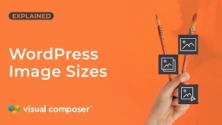 How To Properly Size Images in WordPress (PSI Item)