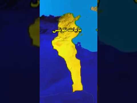 بايات تونس