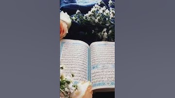 #سورة_الإخلاص #ikhlas #egzonibrahimi #love #qurantilawat #اكسبلور #duet #quran #answer #funny