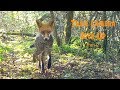 Trail Camera Pick-Up   Part 2