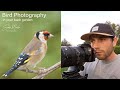 Bird Photography - In your Garden.