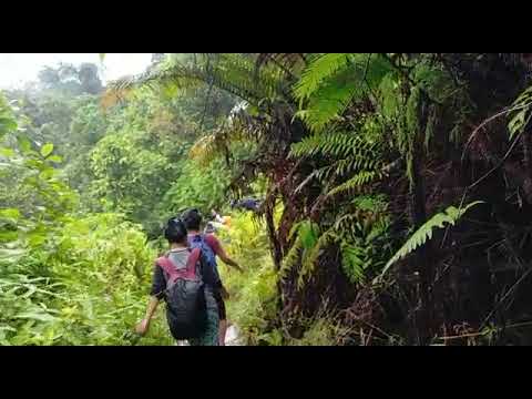 Mgr. Vitus Rubianto SX Blusukan Masuk Hutan Mentawai