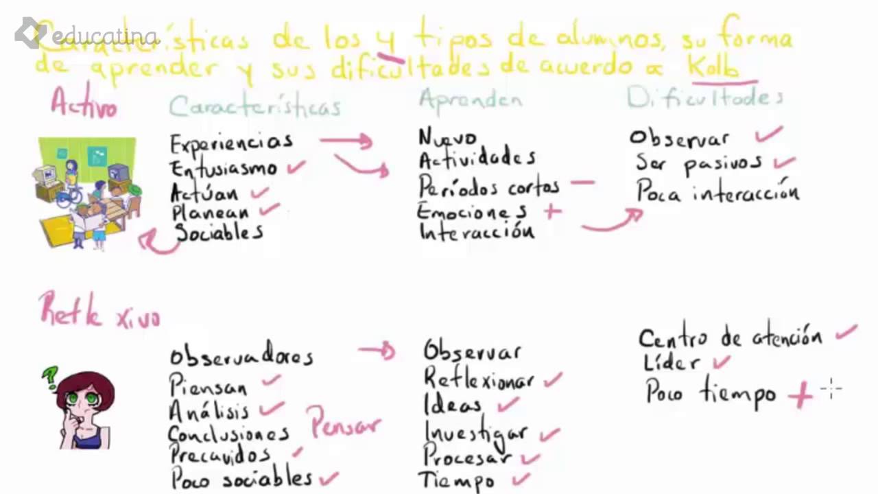 4 Los 4 tipos de alumnos y su forma de aprender según el modelo de Kolb -  YouTube