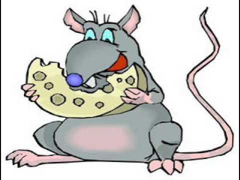 Жир мыши. Толстая мышь. Толстый мышонок. Крыса карикатура. Толстая крыса.
