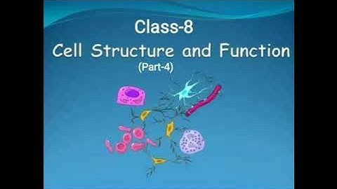 Class-8 NCERT Science Chapter-8 Cell- Structure and Function (part-4)