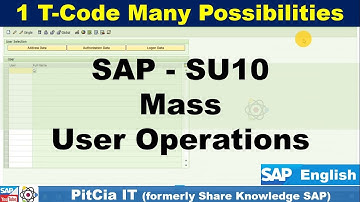 SAP SU10 Mass Role Removal, Data Format, Parameter Changes | PitCia IT SAP