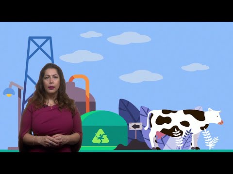 الوقود الحيوي هل يحل مشكلة أم يتسبب بأخرى
