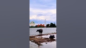 Cảnh Đẹp Miền Tây, CHÙA NÚI NỔI TRI TÔN AN GIANG Ạ.