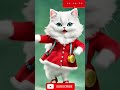 La La Chutti TV Cat Dance Cat Cute Cute Cat Mycat Lovelycat Meowmoe Catsdontdance