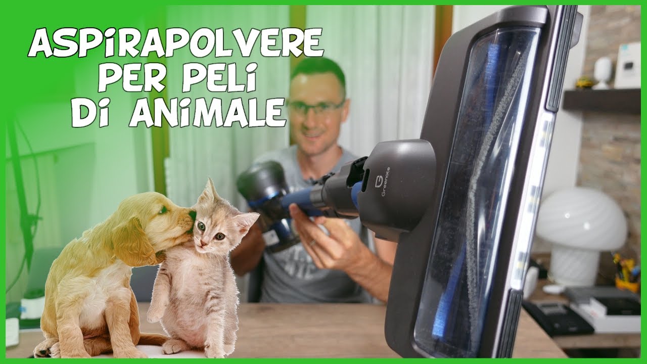 Aspirapolvere Amazon Greenote GSC50 per peli di animali cane gatto senza  fili senza sacco ciclonico - YouTube