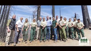 We Must Save Our Sequoias